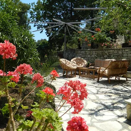 Seven Islands ガイオス