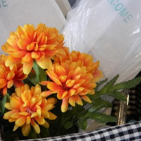 Seven Islands Apartment