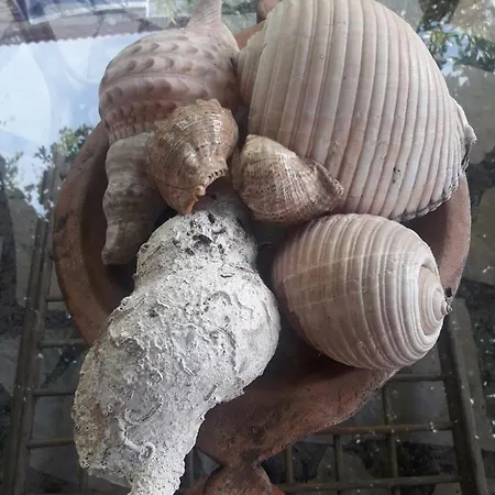 Seven Islands Apartment Gaios